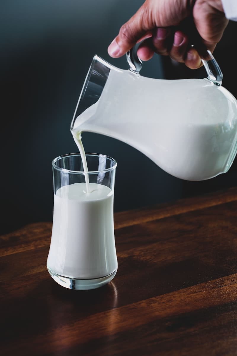 Village Milk
